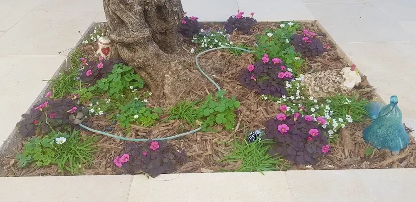 ערוגה עם שבבי עץ ופרחים